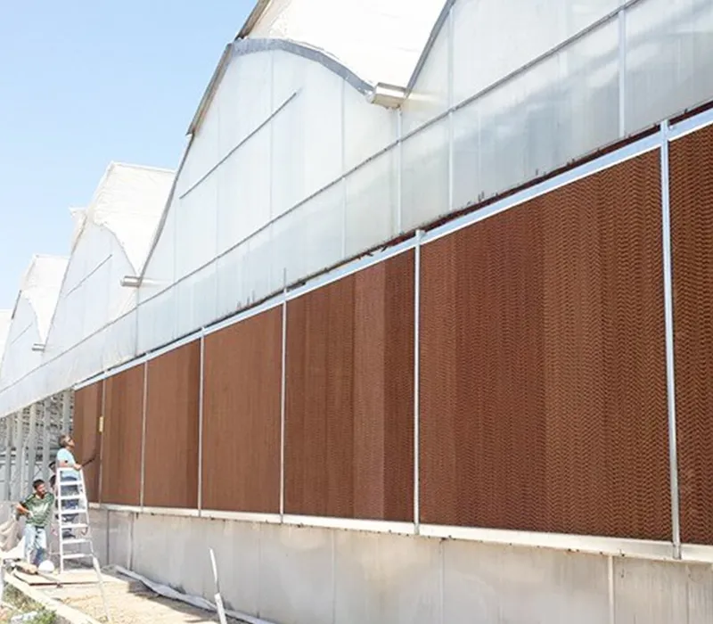 Sera Havalandırma Soğutma Sistemleri