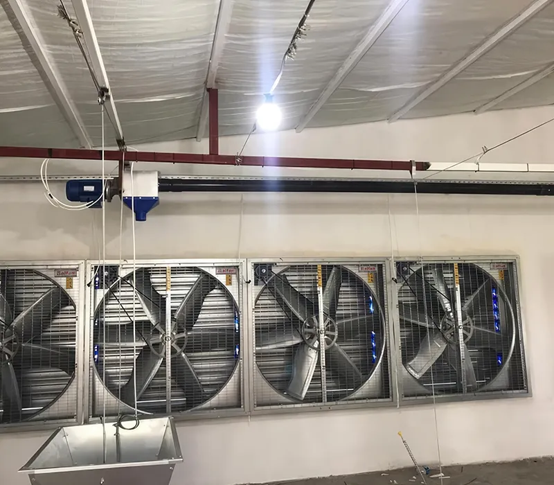 Tavuk Kümes Havalandırma Sistemleri